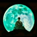 청정수풀 이미지