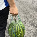 민성이네과일가게