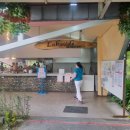 팔지천 | 지상낙원 코타키나발루 아티타야 보르네오 CC 4박 6일 144홀 라운딩 리얼 후기 1