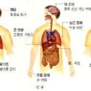 약물의 오용과 남용 이미지