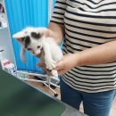 사창산 이미지