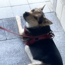 흥해슈즈