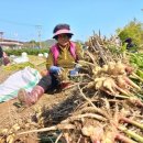 현종농장 이미지