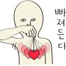 퀼트앤쏘잉 이미지