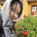 미헤어코디 - 서산시 | 미헤어코디