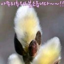 일출자전거 이미지