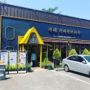 커피허브나무 이미지