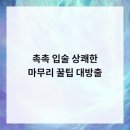 연세제이치과의원 | 연세제이치과의원파주운정에서 사랑니·충치치료·턱관절치료 한 번에 해결한 경험담