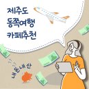 대학생 [CAFE] 내돈내산 마피스 / 함덕 카페 / 제주도, 제주도 동쪽 카페, 디저트카페, 디저트맛집