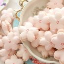 벚꽃 마카롱 이미지