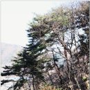 화요일아침예술학교 이미지