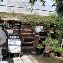 꽃새미마을(방동마을) 이미지