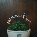 임경자