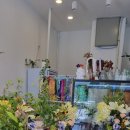 플라워1030(Flower1030) 이미지
