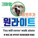 송에스테틱 이미지