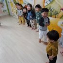 킹콩플라워 이미지