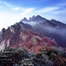 고향부동산중개사무소 이미지