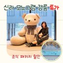 자연주의건강요리 | 신라 모노그램 강릉 호텔 오션뷰 후기 | 벚꽃 시즌 숙소 조식포함 특가