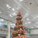 서울아산병원(서관) 이미지