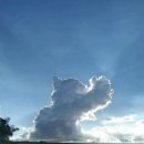 바다가 좋아 이미지