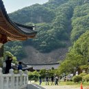 황간(서울) | [황간 월류봉 둘레길 걷기 후기] 초여름 가족 트레킹, 반야사까지 소소한 여행