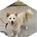 동식농장 이미지