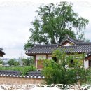 [스크랩] 안동팔경