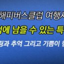 해피버스클럽여행사
