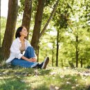 숲속작은개울 이미지