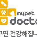 마이펫동물약국 이미지