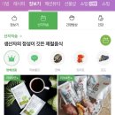 횡성산마루더덕 이미지