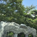 동굴유원지 | [울산 아이와 가볼만한곳] 예매 꿀팁부터 공룡동굴, 자수정 매장 포토존, 보트 탐험까지! 울산 자수정...