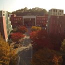 경북도립대학교 이미지