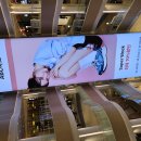 동네 백반집에서 점심 먹고 이미지