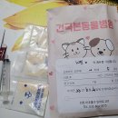 24시 건국 본 동물병원 이미지