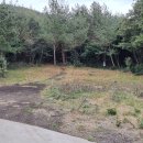 세화1리마을회관 이미지