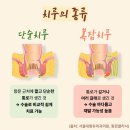 서울대항유외과의원 이미지