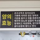 장천기사식당 이미지