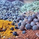 웰빙발효빵 이미지