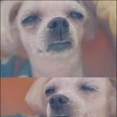 우즈베이커리 대곡점 이미지