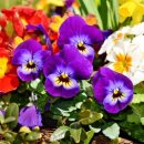 강건목장 이미지