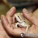 사랑이 있는 어린이 동산 이미지