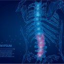 드림나무한의원 이미지