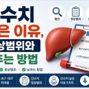 간수치 높은 이유, 정상범위와 낮추는 방법 이미지