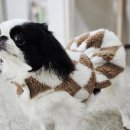 펫의류&펫소품 만들기 이미지