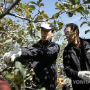 이광준농장 이미지