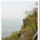 축령산풍경