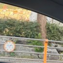 2023년 7월 29-30(부산)/ 2023 광안대교 나이트런/수변최고돼지국밥 민락본점 웨이팅/전포 카페/딤타오