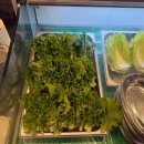 가진 | 대전 성남동 맛집 조대포가든 삼겹살 집에서 연말 가족모임 가진 후기