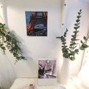 까사비용 이미지